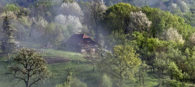 Eindeloze natuurpracht…