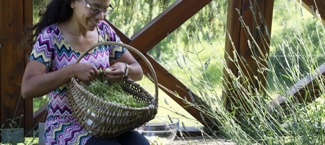 De Zumberak… een waar paradijs aan kruiden