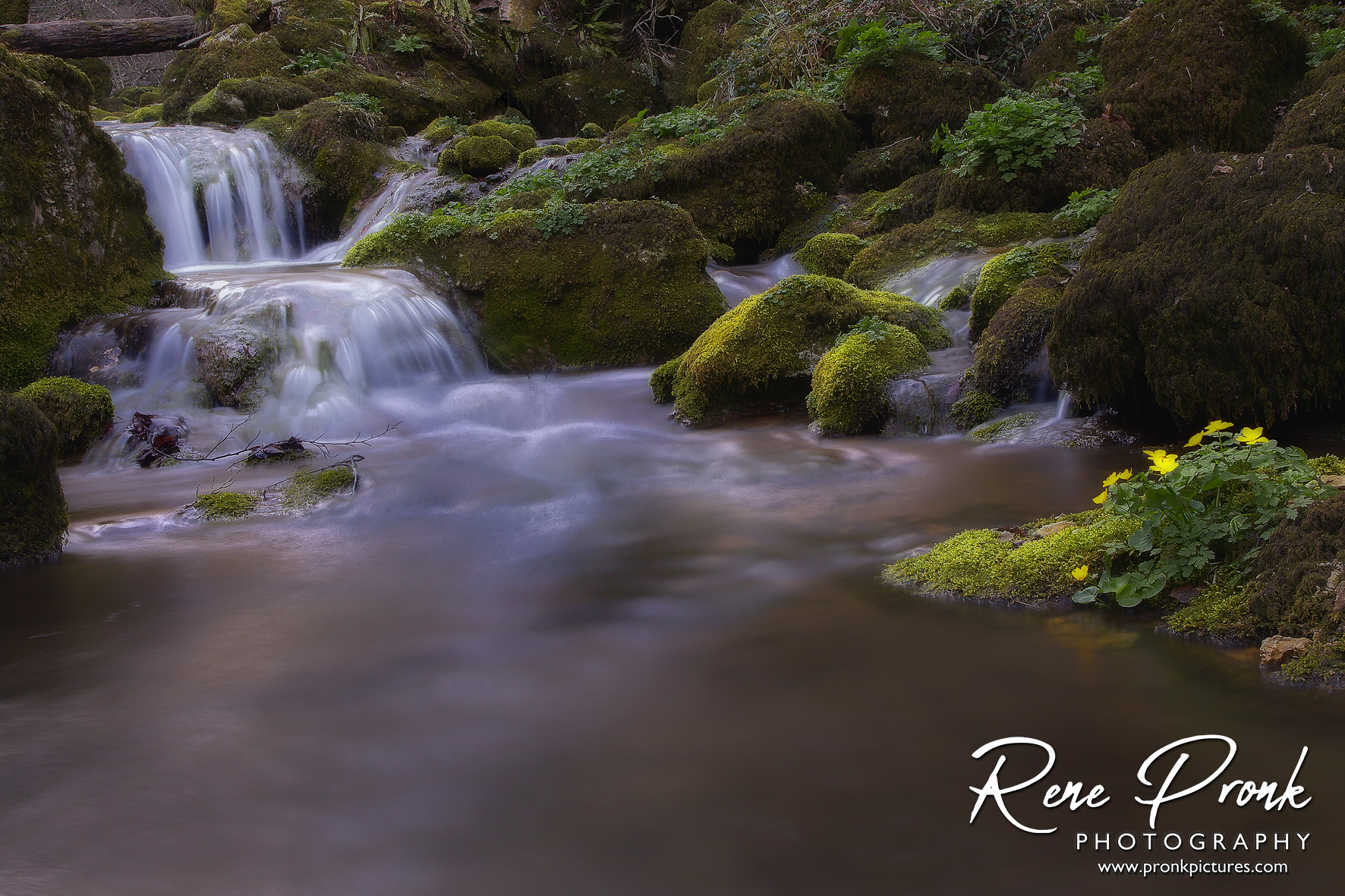 De waarheid vindt je niet, hij vindt jou